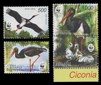 Belarus New Issue : WWF stamps